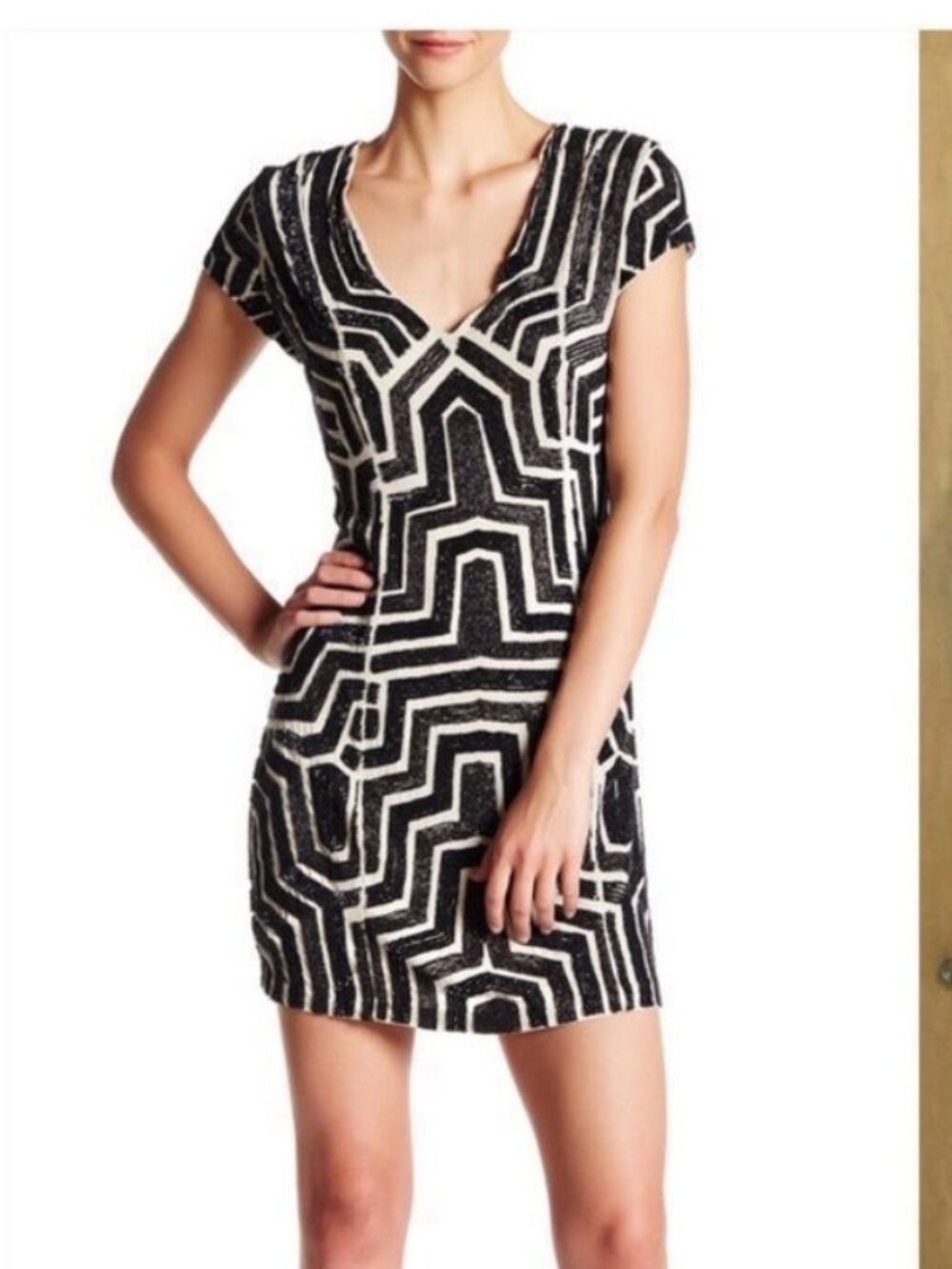 Parker Black Serena Beaded Dress